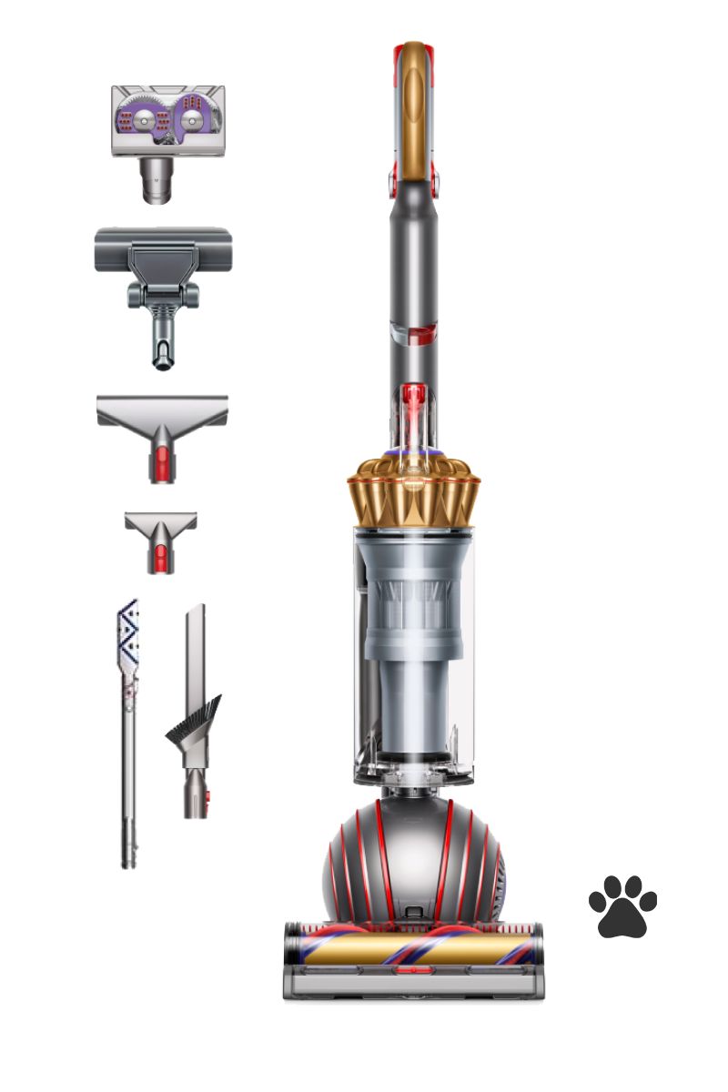 aspirapolvere dyson ball animal complete oro