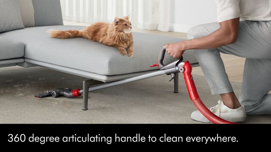 aspirapolvere dyson ball animal complete oro