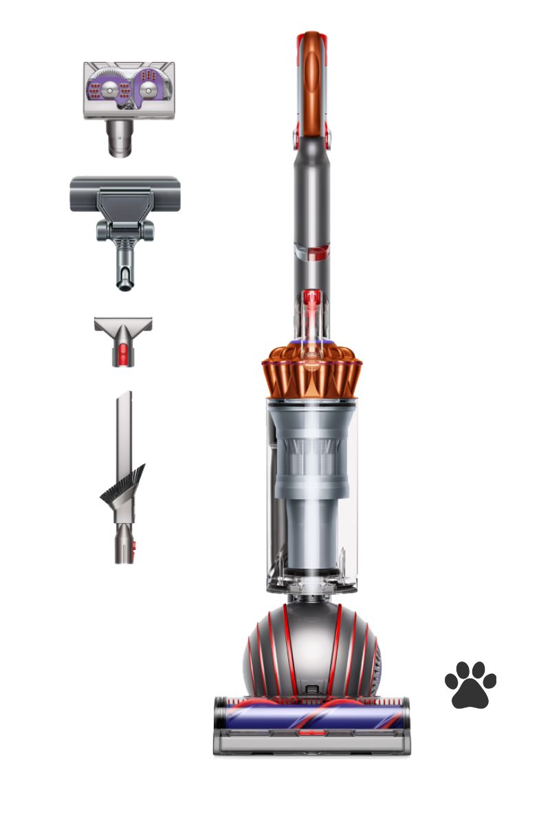 dyson ball animal multi-floor rameargento