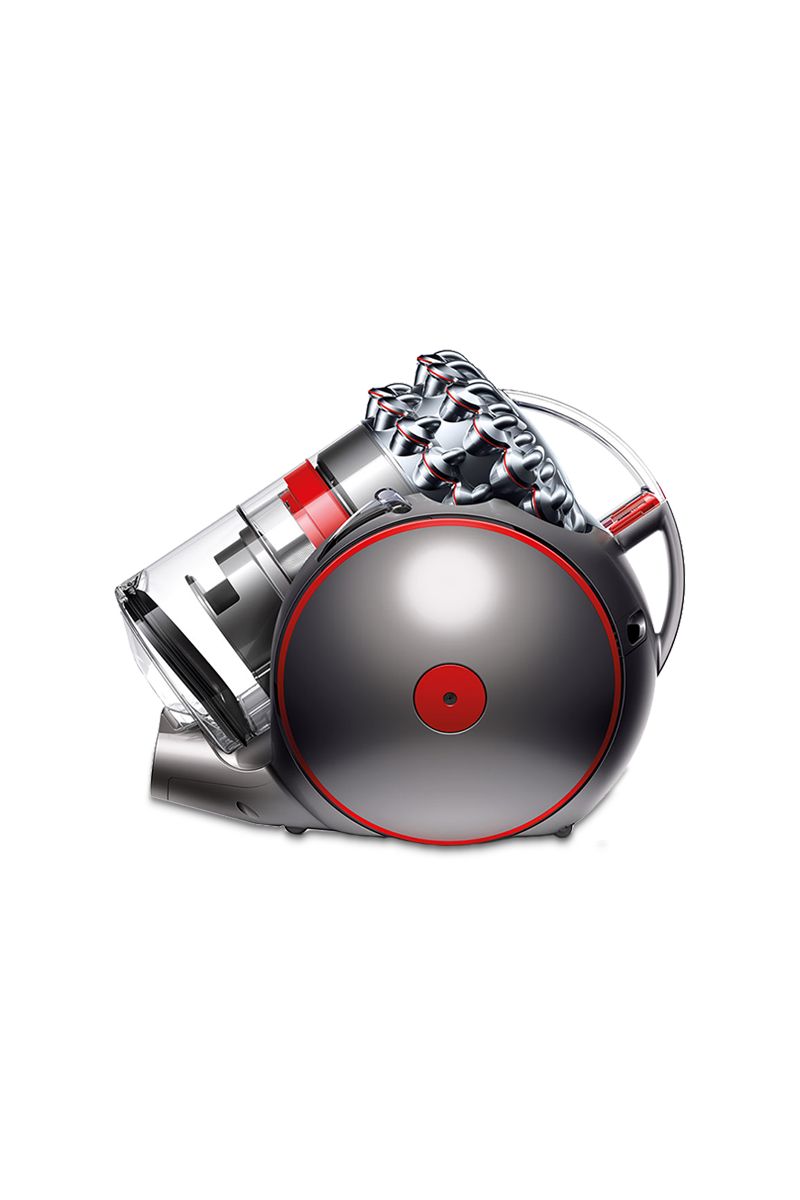 aspirapolvere dyson cinetic big ball animal a 2 cilindri.