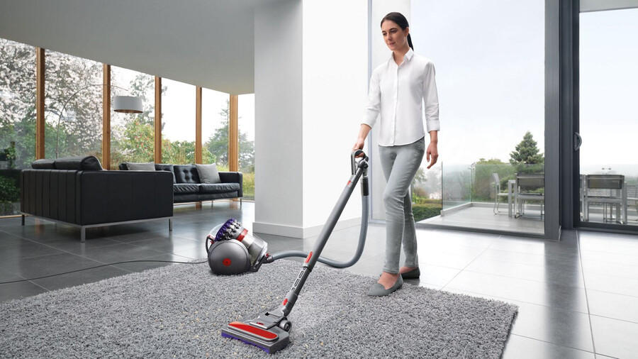 aspirapolvere dyson cinetic big ball animal a 2 cilindri.