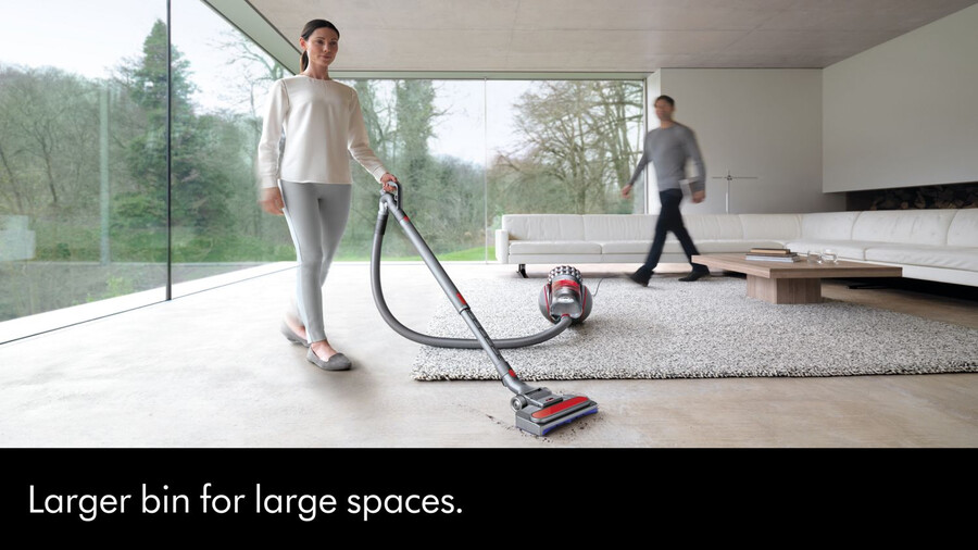 aspirapolvere dyson cinetic big ball animal a 2 cilindri.