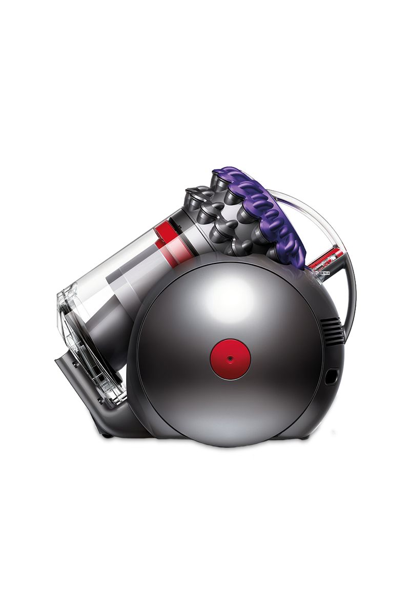 dyson big ball animal 2